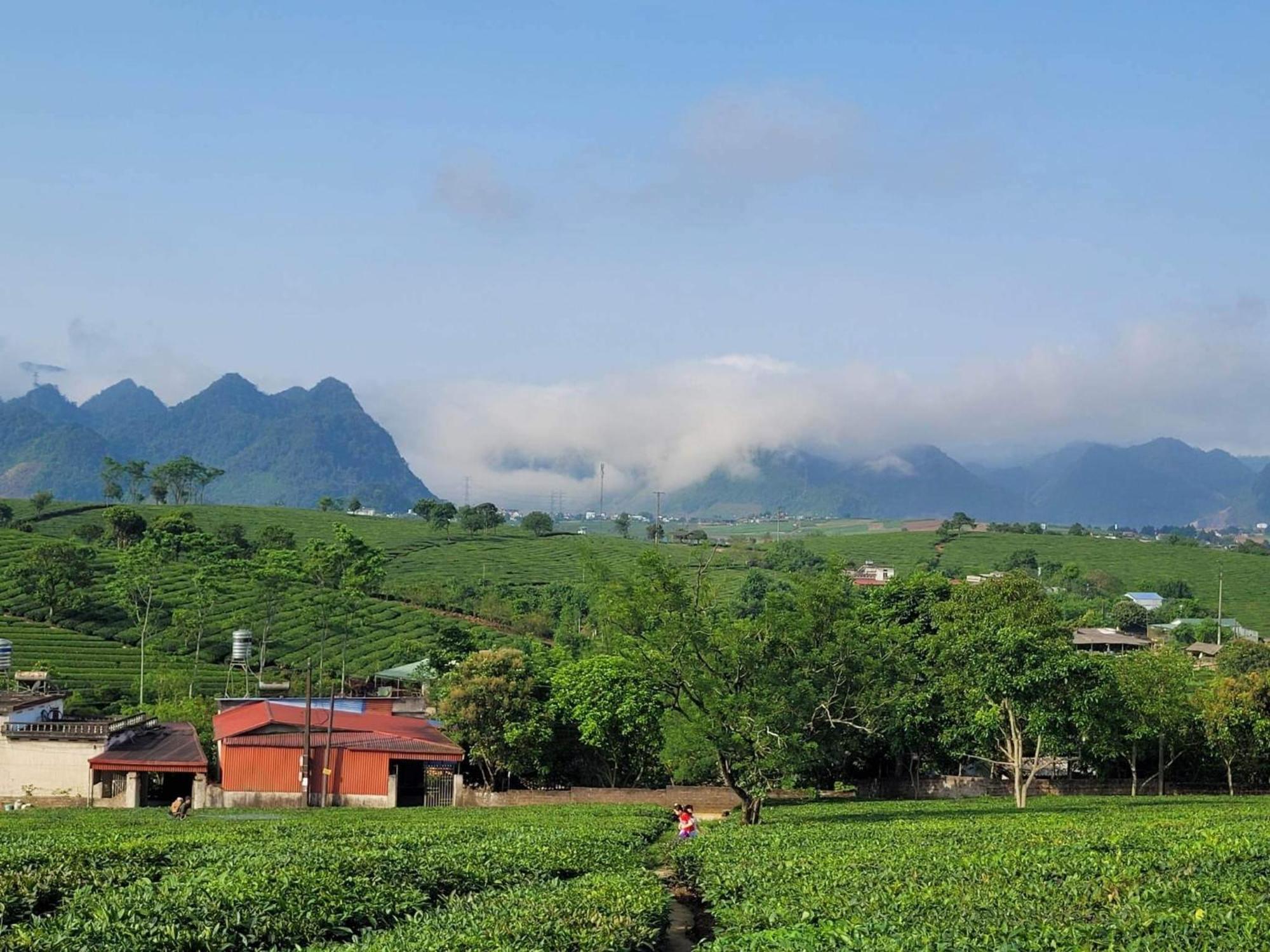 Mum Homestay Moc Chau Exterior photo